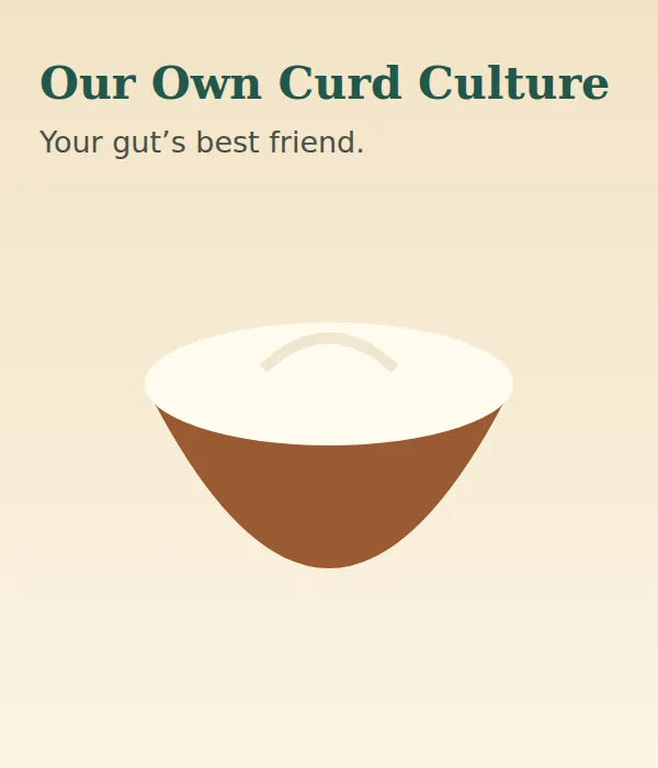 Our own curd culture